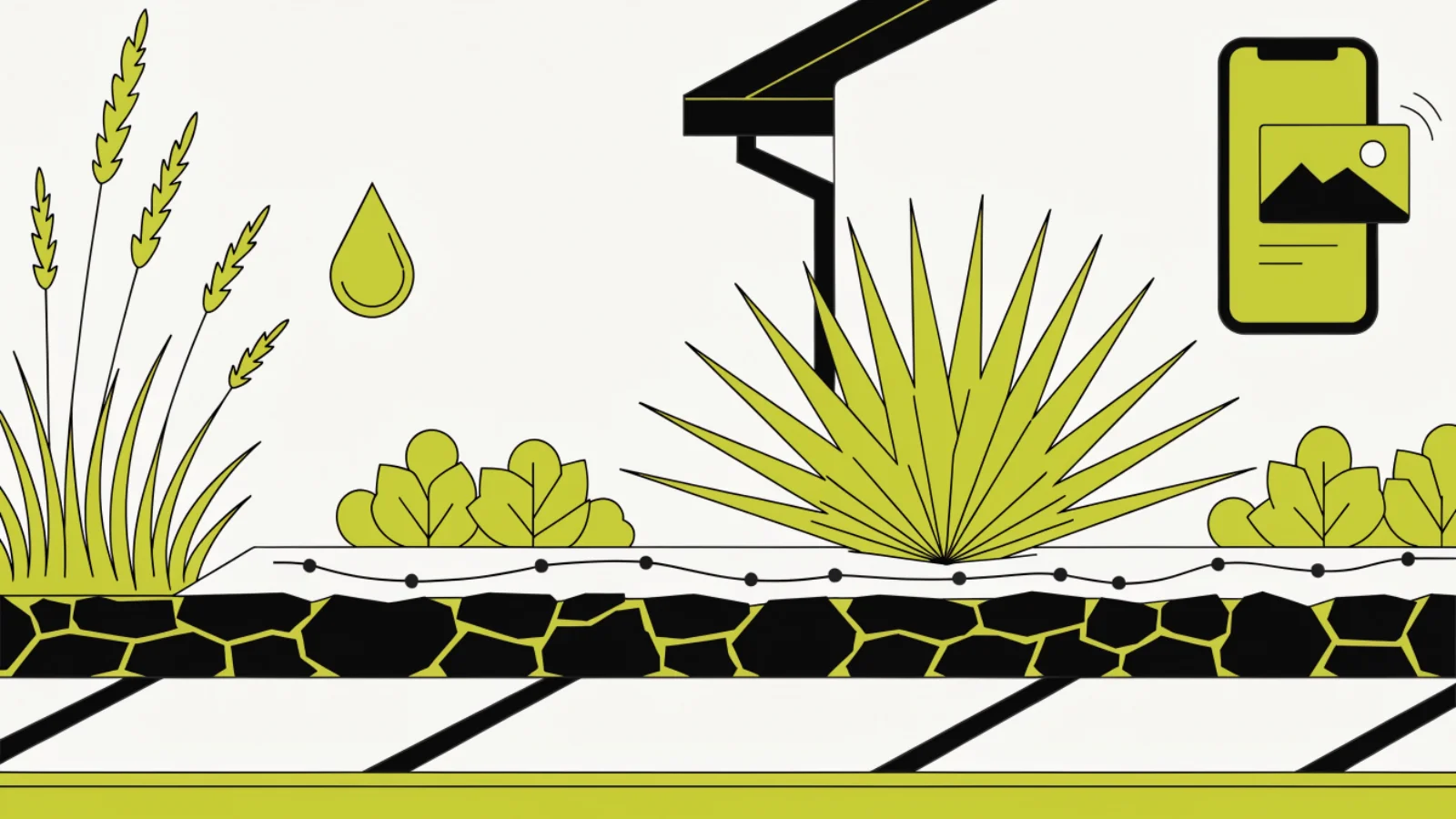 Landscaping company in Austin selling xeriscape and drip irrigation